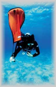 Pallone Scc 60 Halcyon